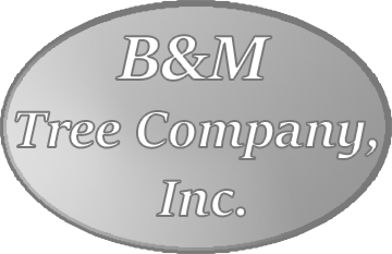 B&M Tree Company, Inc. Logo.